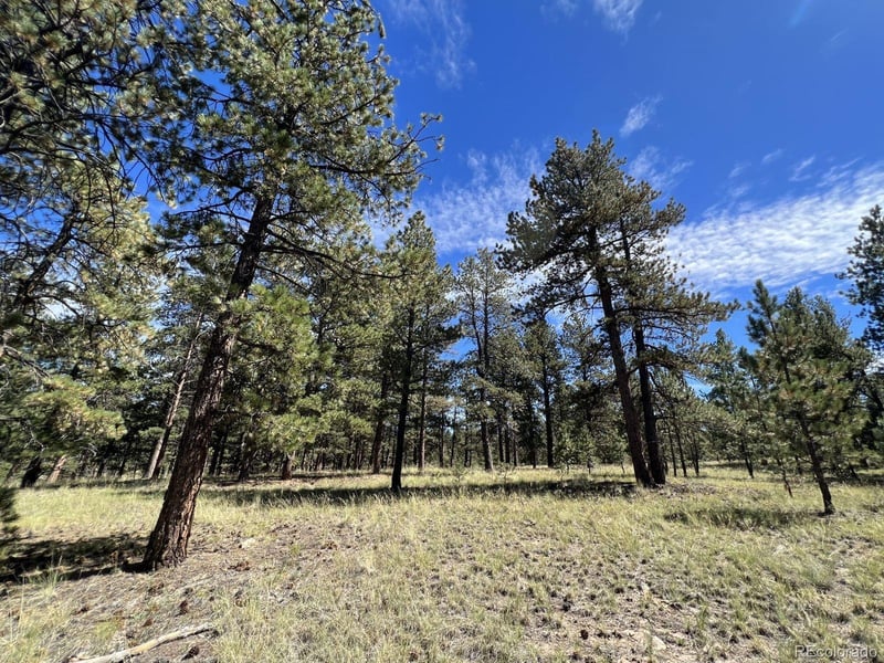 82 Kiowa Cir, Westcliffe, CO 81252