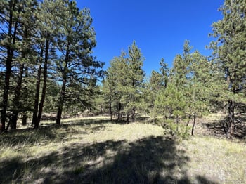 82 Kiowa Cir, Westcliffe, CO 81252