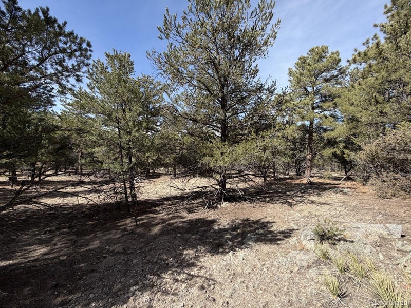 262 Harmon Dr, Cotopaxi, CO 81223