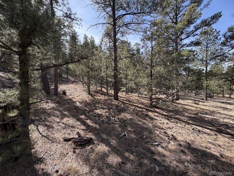 262 Harmon Dr, Cotopaxi, CO 81223