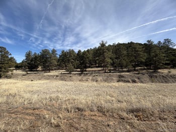 262 Harmon Dr, Cotopaxi, CO 81223