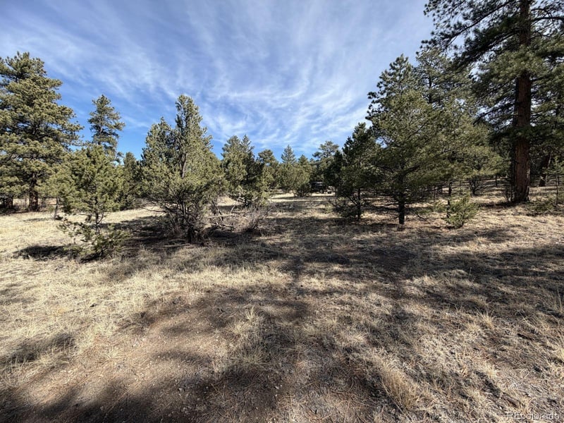 262 Harmon Dr, Cotopaxi, CO 81223