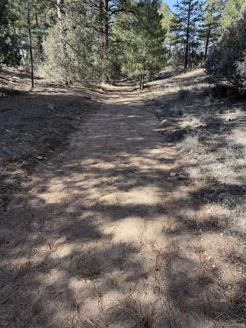 262 Harmon Dr, Cotopaxi, CO 81223