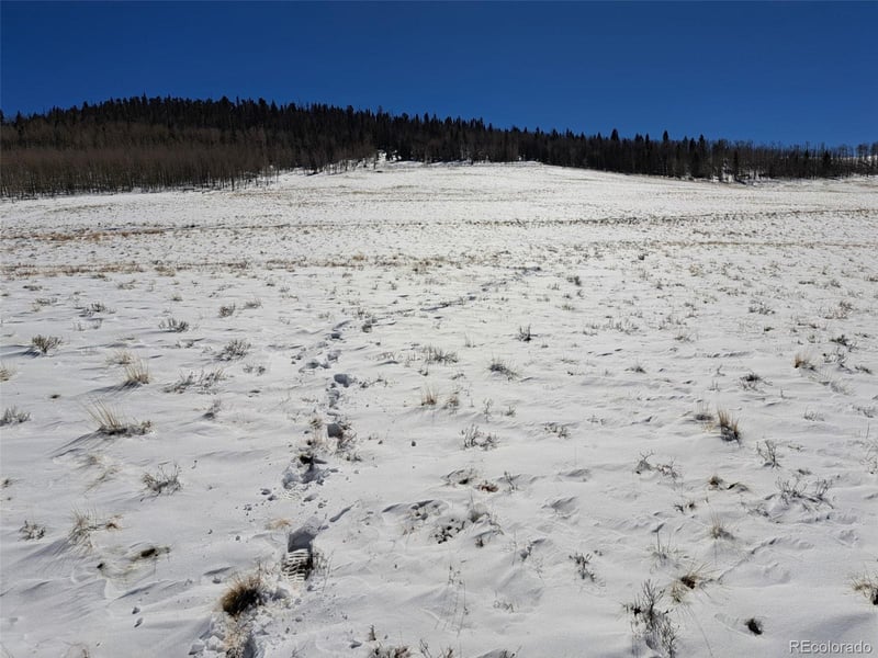 00 Jicarilla Trl, Hartsel, CO 80449