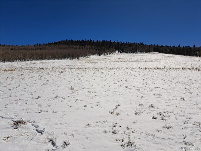 00 Jicarilla Trl, Hartsel, CO 80449