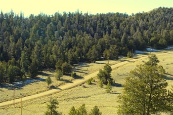 697 Summit Rd, Hartsel, CO 80449