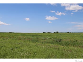 County Road 37, Pierce, CO 80650