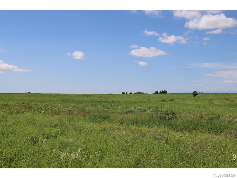 0 County Road 37, Pierce, CO 80650