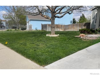 4228 94th Pl, Thornton, CO 80229