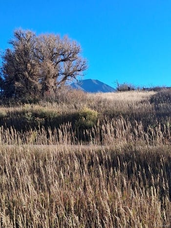 Grand , La Veta, CO 81055