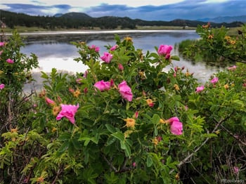 671 Midland Ct, Lake George, CO 80827