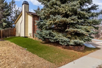 119 Pembrook St, Castle Rock, CO 80104