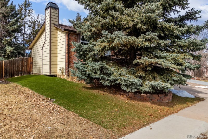 119 Pembrook St, Castle Rock, CO 80104