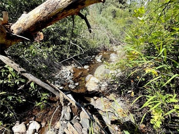 na West Creek Cr 48 Rd, Howard, CO 81233