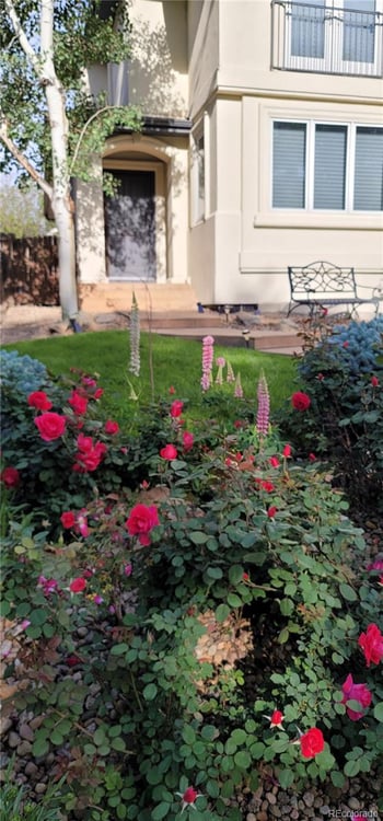 362 Monroe St, Denver, CO 80206