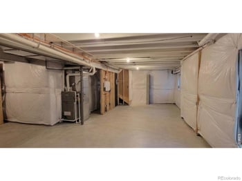 2468 Cabin Creek Ave, Loveland, CO 80538