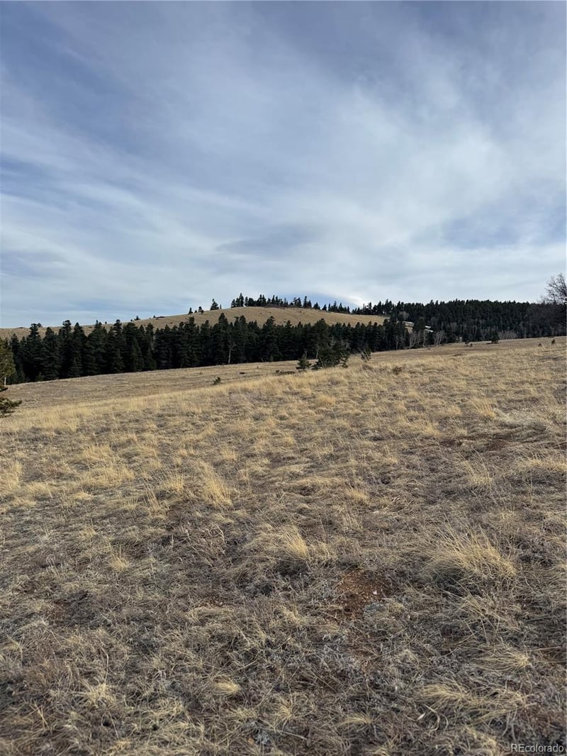 000 Louisiana Rg, Westcliffe, CO 81252