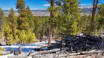 1335 Sequoia Dr, Leadville, CO 80461
