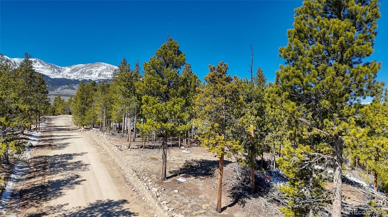 1335 Sequoia Dr, Leadville, CO 80461