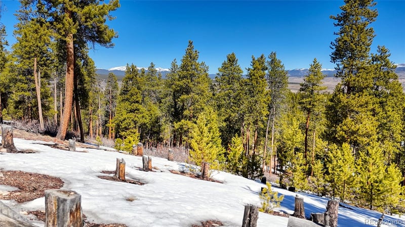 1335 Sequoia Dr, Leadville, CO 80461