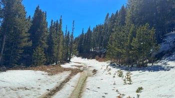 39 Glory Hole Rd, Idaho Springs, CO 80452