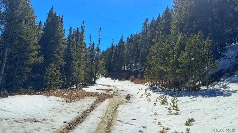 39 Glory Hole Rd, Idaho Springs, CO 80452