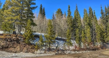 39 Glory Hole Rd, Idaho Springs, CO 80452