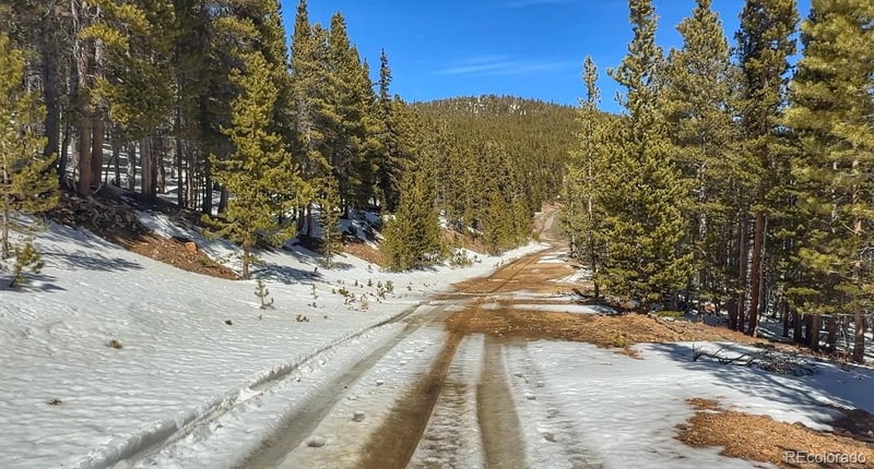 39 Glory Hole Rd, Idaho Springs, CO 80452