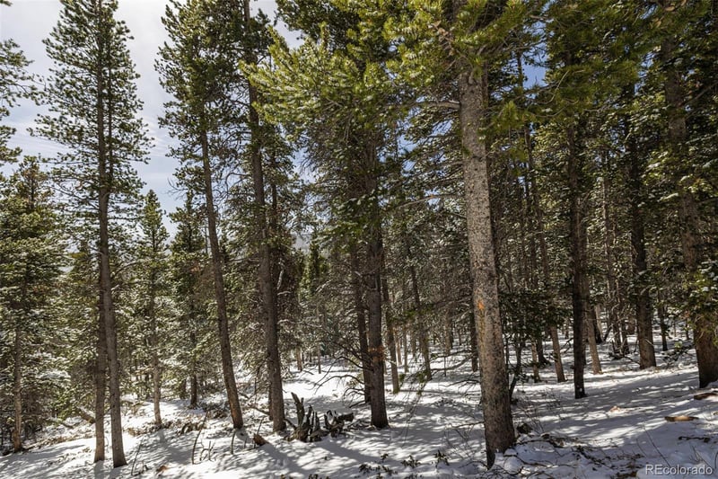 757 Texas Dr Lot 757, Idaho Springs, CO 80452