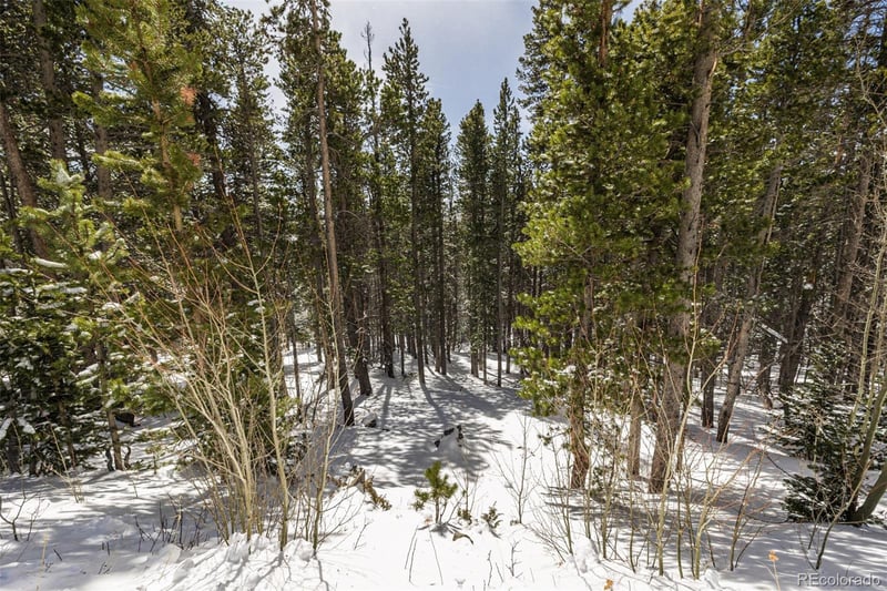 757 Texas Dr Lot 757, Idaho Springs, CO 80452