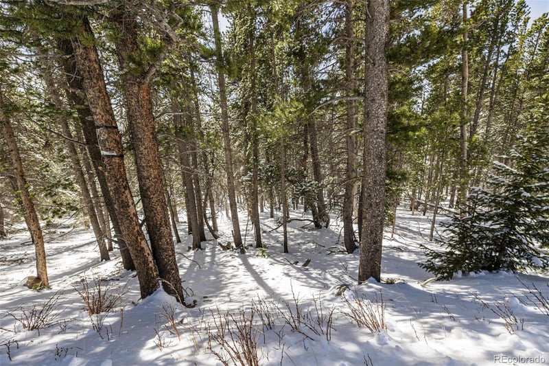 757 Texas Dr Lot 757, Idaho Springs, CO 80452