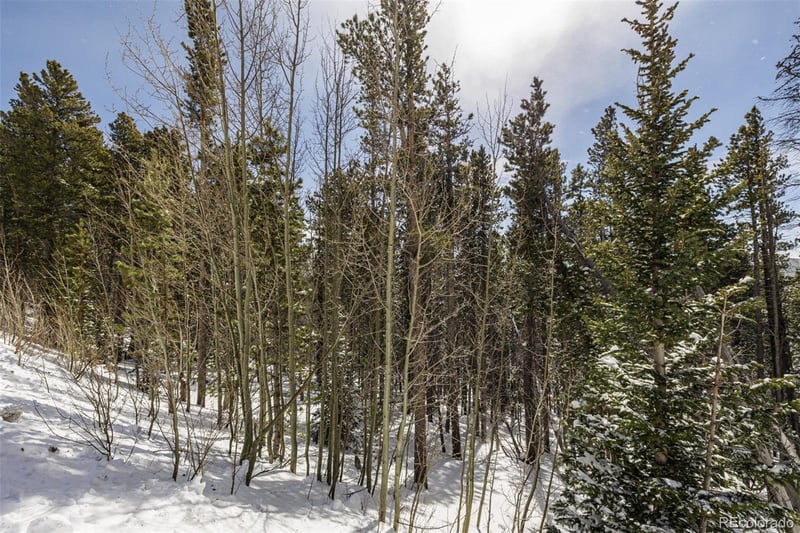 757 Texas Dr Lot 757, Idaho Springs, CO 80452