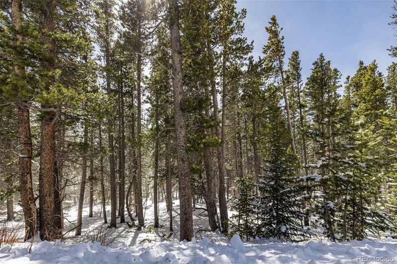 757 Texas Dr Lot 757, Idaho Springs, CO 80452