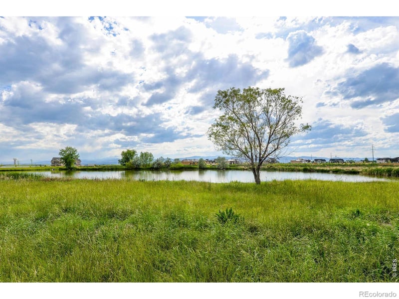 6901 Water View Ct, Timnath, CO 80547