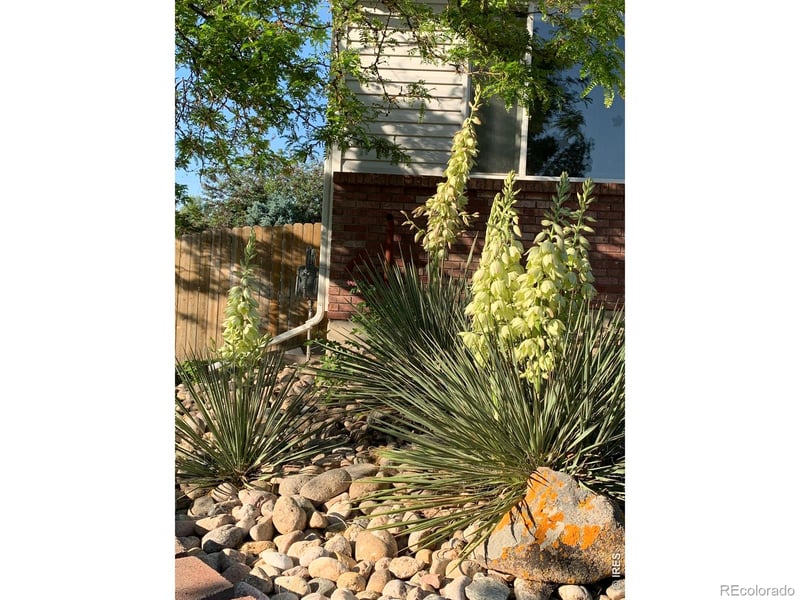 661 Brewer Dr, Fort Collins, CO 80524