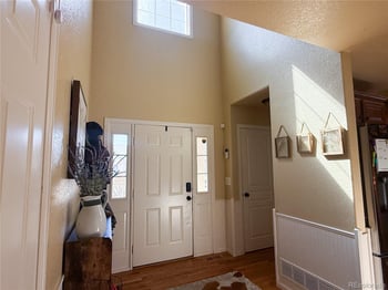 894 Durum St, Windsor, CO 80550