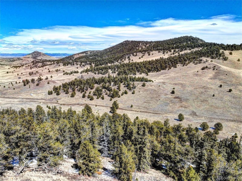 250 Bakabi Rd, Hartsel, CO 80449