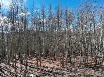 303 Glacier Peak Vw, Jefferson, CO 80456