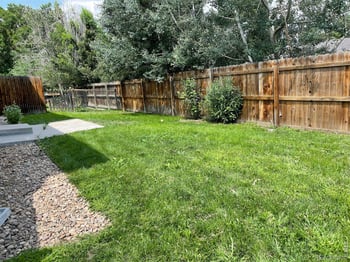 244-246 Sorento Pl, Longmont, CO 80504