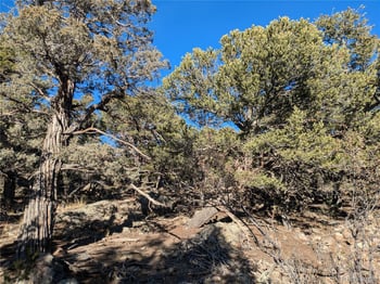 1284 Echo Point, Crestone, CO 81131