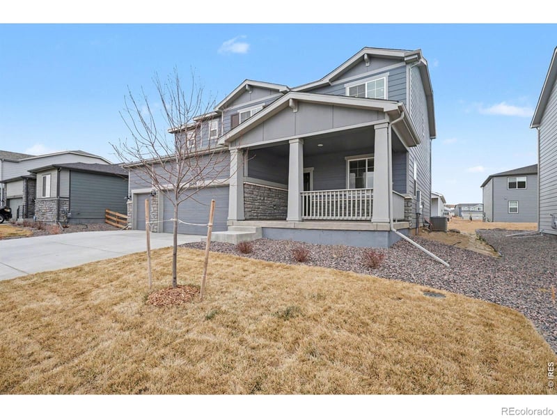 1604 Colorado River Dr, Windsor, CO 80550