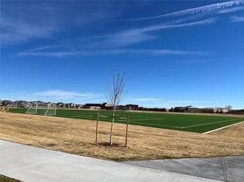 762 Willow Oak St, Brighton, CO 80601