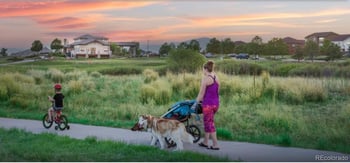 13515 Nederland Dr, Peyton, CO 80831