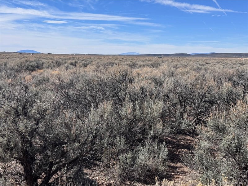 Lot 119 Budweiser Rd, Fort Garland, CO 81133