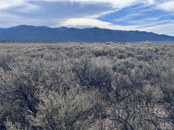 Lot 119 Budweiser Rd, Fort Garland, CO 81133