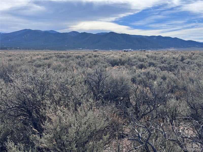 Lot 119 Budweiser Rd, Fort Garland, CO 81133