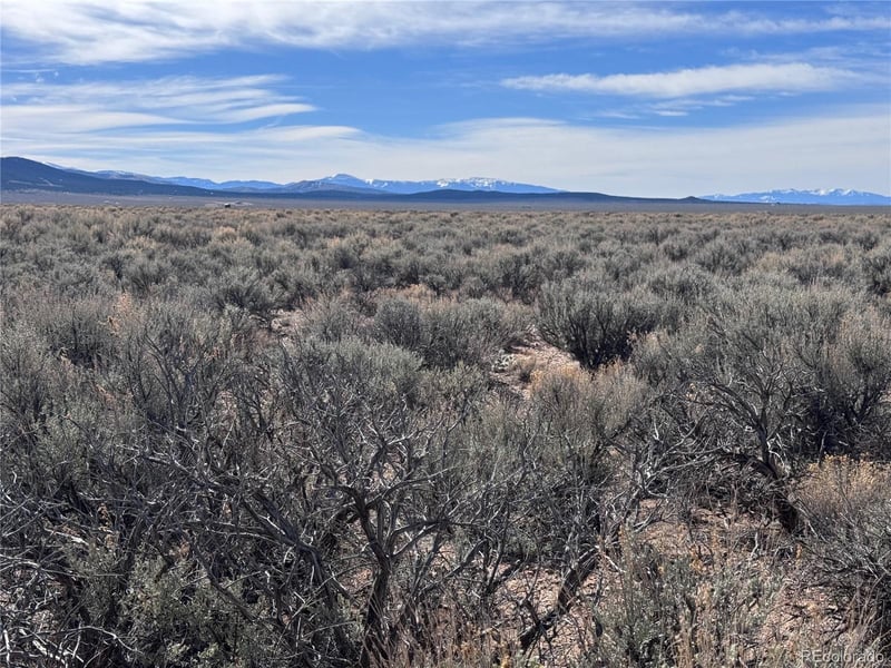 Lot 119 Budweiser Rd, Fort Garland, CO 81133