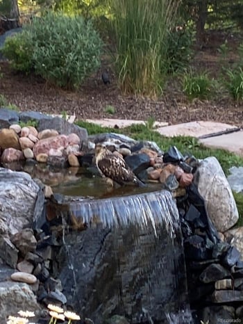 6735 Catawba Way, Aurora, CO 80016