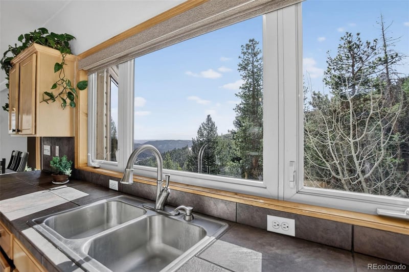 1255 Hy Vu Dr, Evergreen, CO 80439