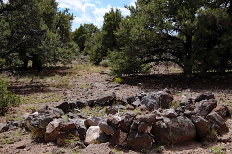 Lot 42 Monte Vista Dr, San Luis, CO 81152